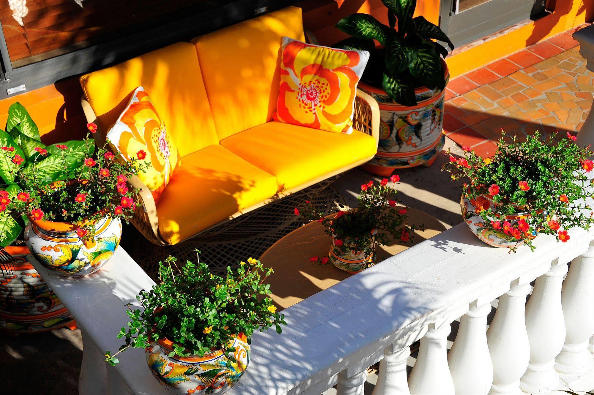 Blue Seas Courtyard Ξενοδοχείο Lauderdale-by-the-Sea Εξωτερικό φωτογραφία